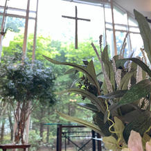 新緑の映える挙式会場