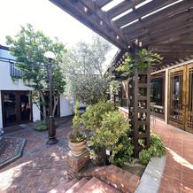 緑多く落ちた中庭