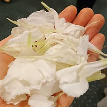 フラワーシャワーです