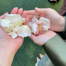 フラワーシャワー