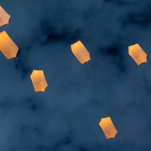 嫁の好きなラプンツェルのランタン