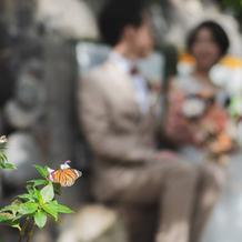 昆虫館でチョウと前撮り