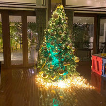 クリスマスツリーを飾ってもらいました