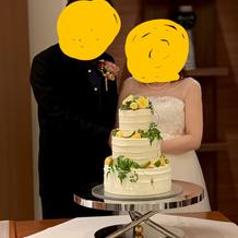 持ち込み衣装です