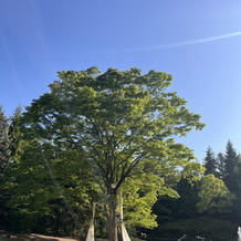 本物の自然がある非日常空間でした