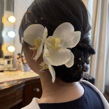 美容リハーサル