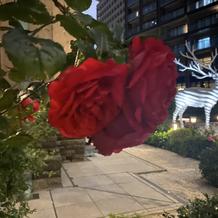 式場周りのお庭