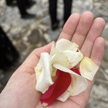 フラワーシャワー