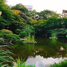 お庭の池