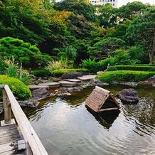 お庭の池
