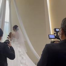 ぬいぐるみトス