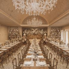 25年3月リニューアルに注目！