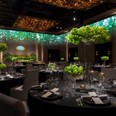 世界トップレベル！大迫力の映像