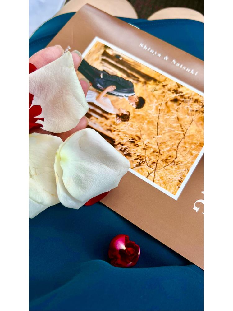 ジャルダン ポール・ボキューズ