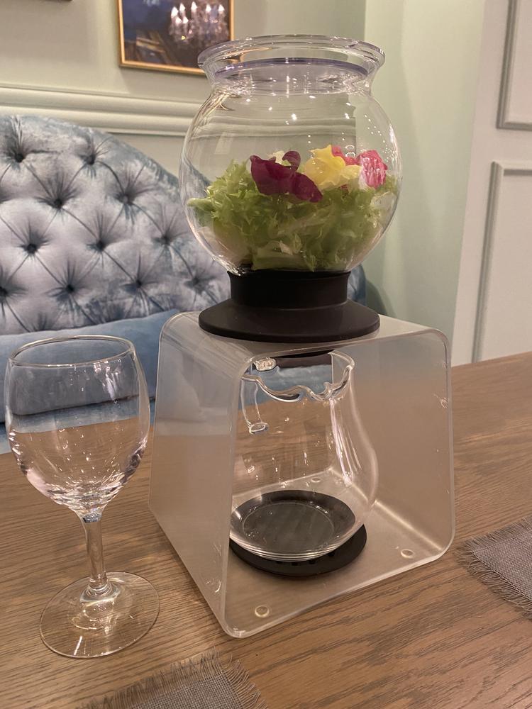 ザ クラブ オブ エクセレント コースト(The Club of EXCELLENT COAST)