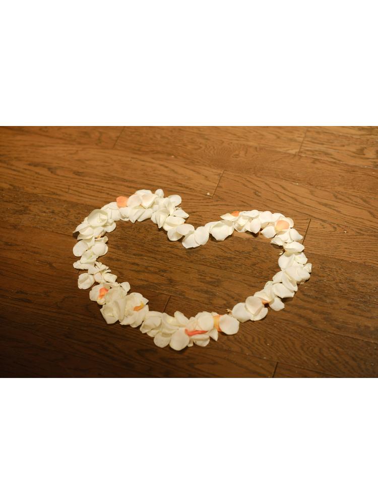 FORTUNE IN THE TERRACE