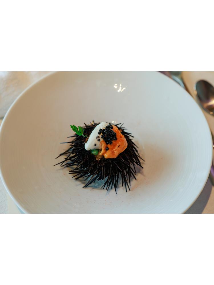 サンス・エ・サヴール