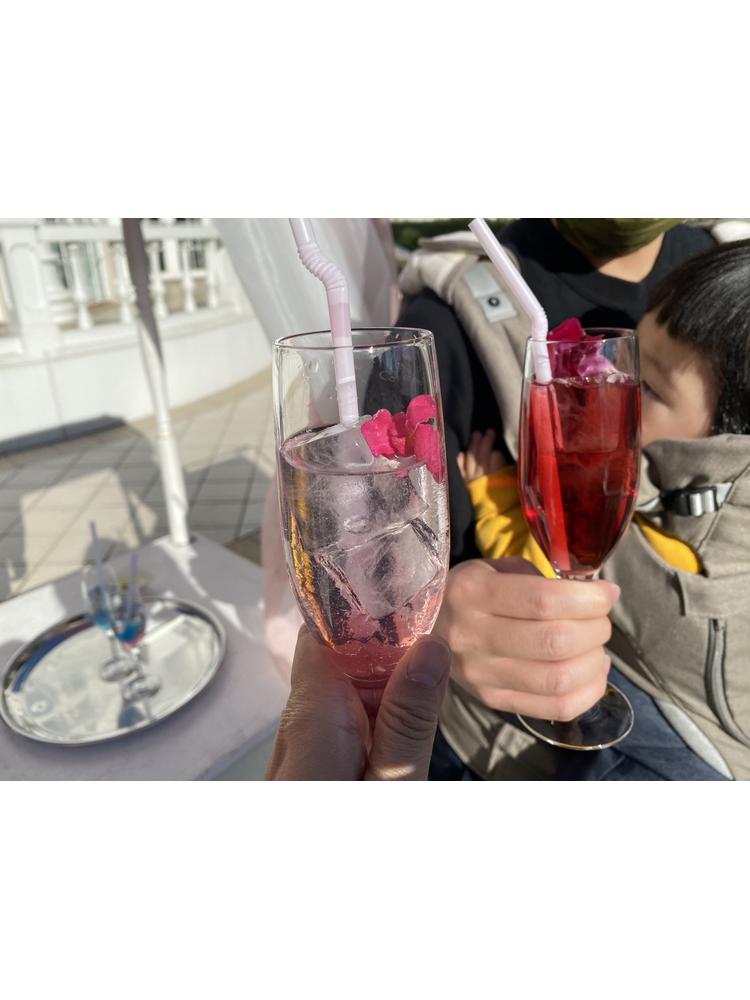 アートグレイス ウエディングコースト 東京ベイ